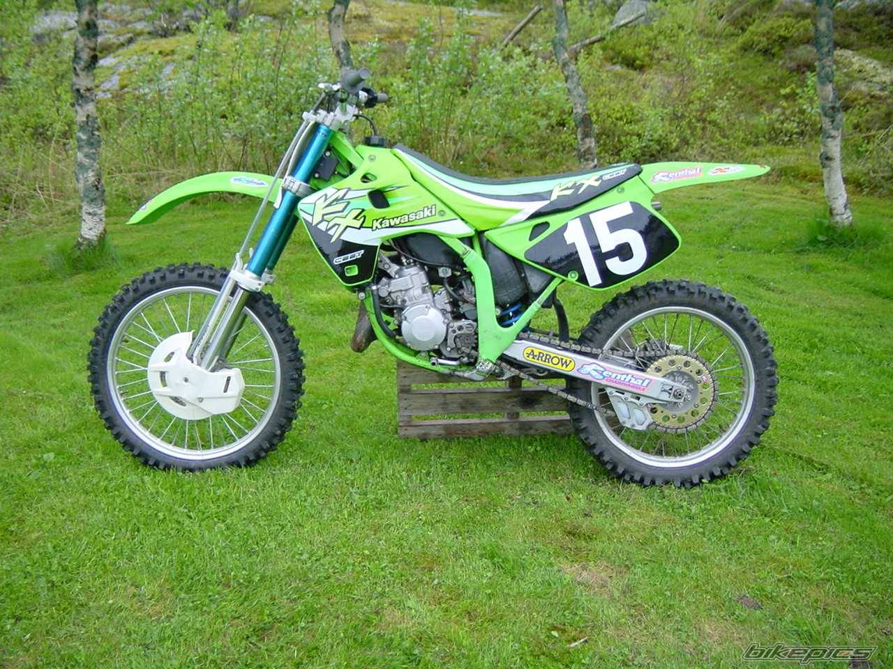Photo 15476