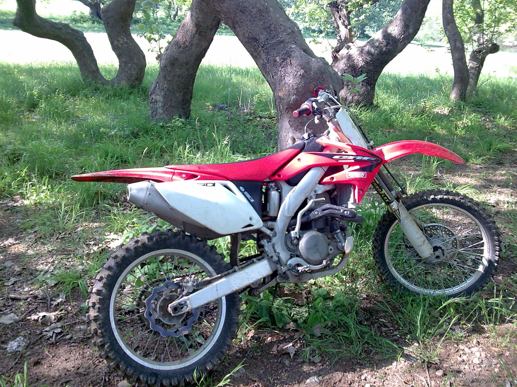 Photo 1547610