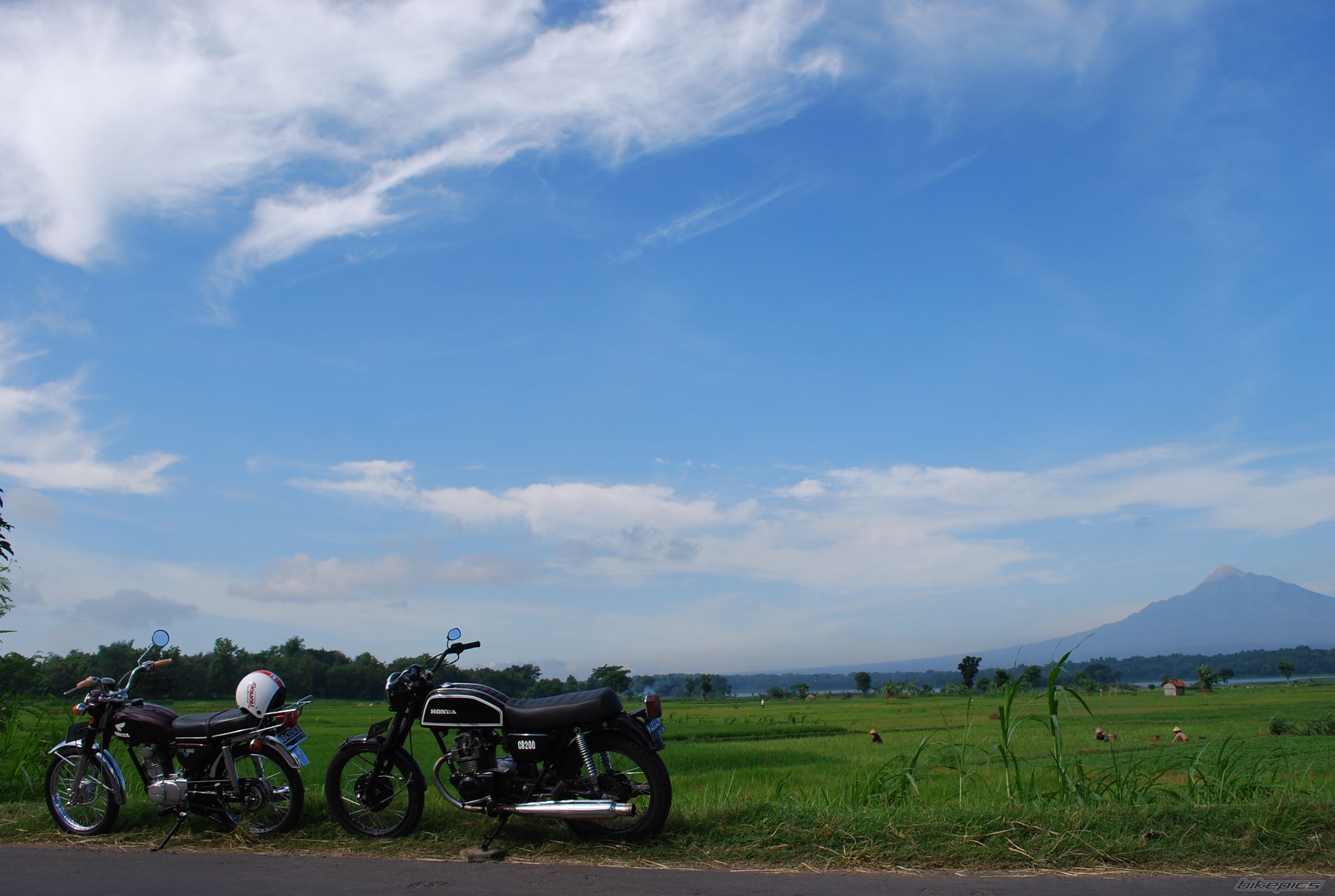 Photo 1547663