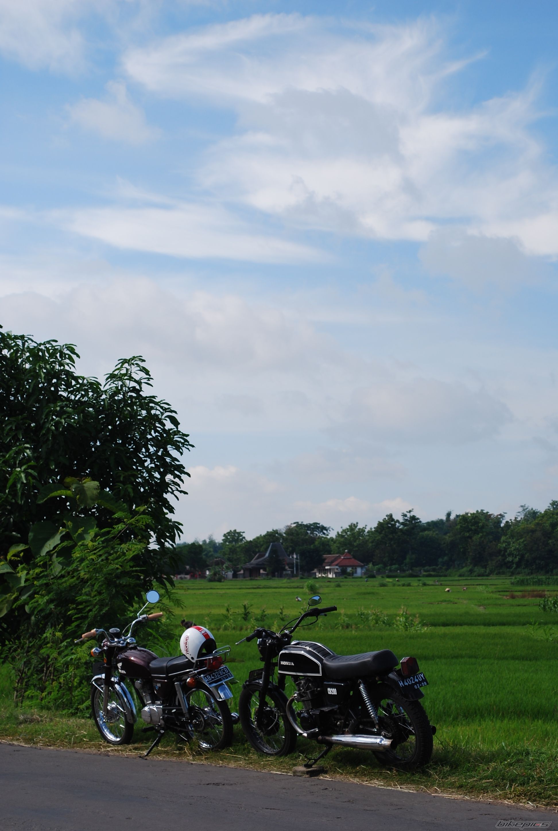 Photo 1547667