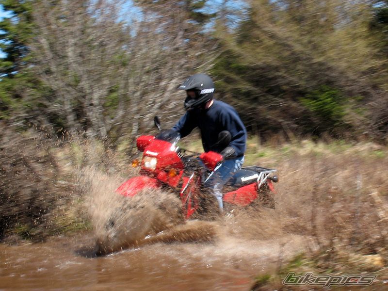 Photo 1547681