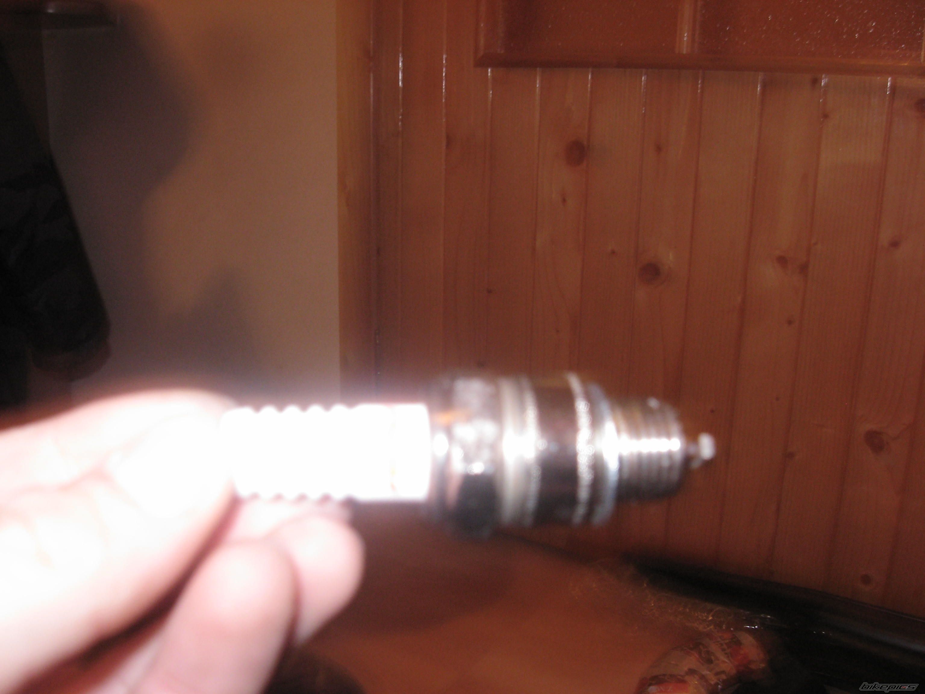 Photo 1547734