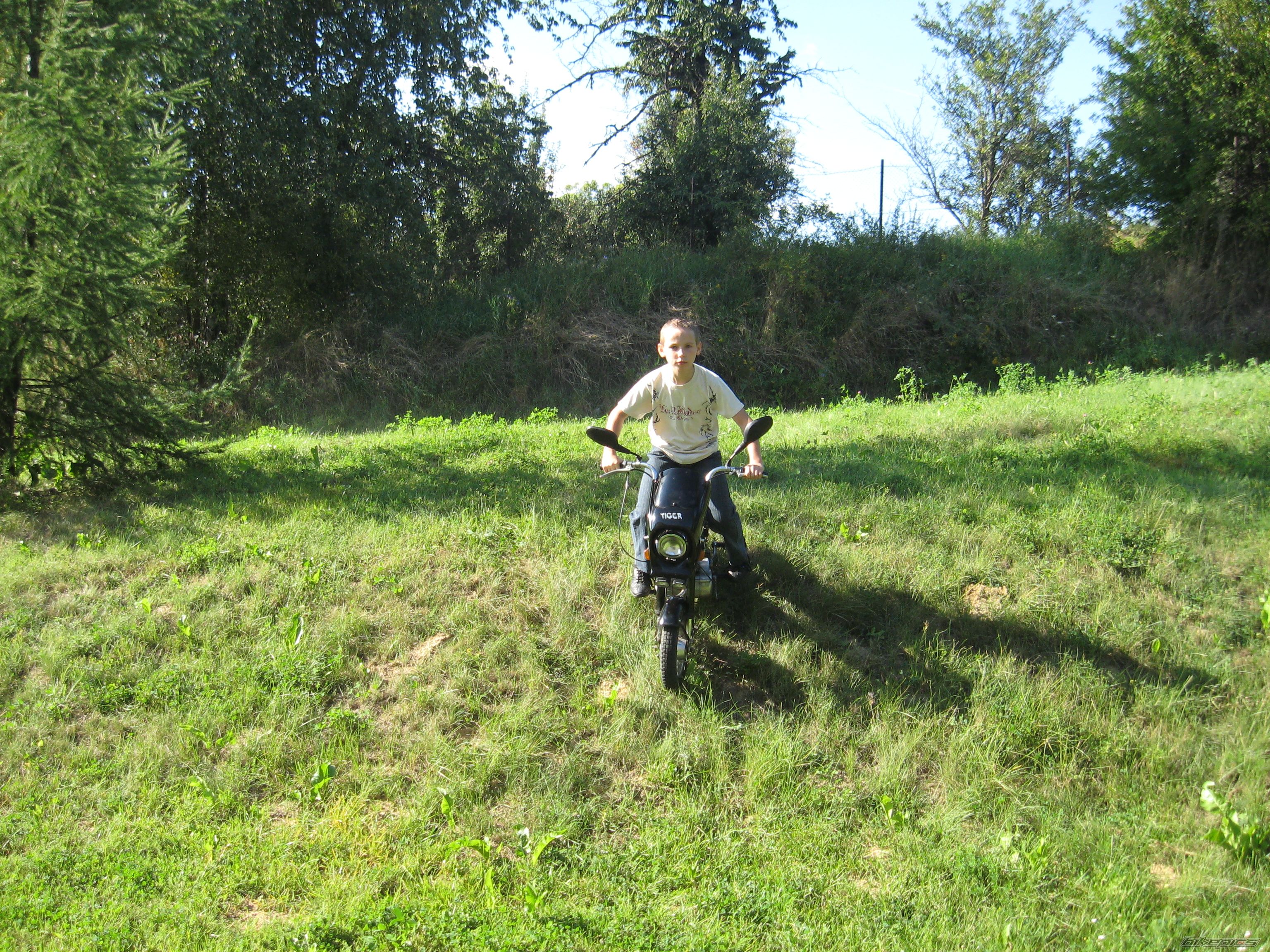 Photo 1547763