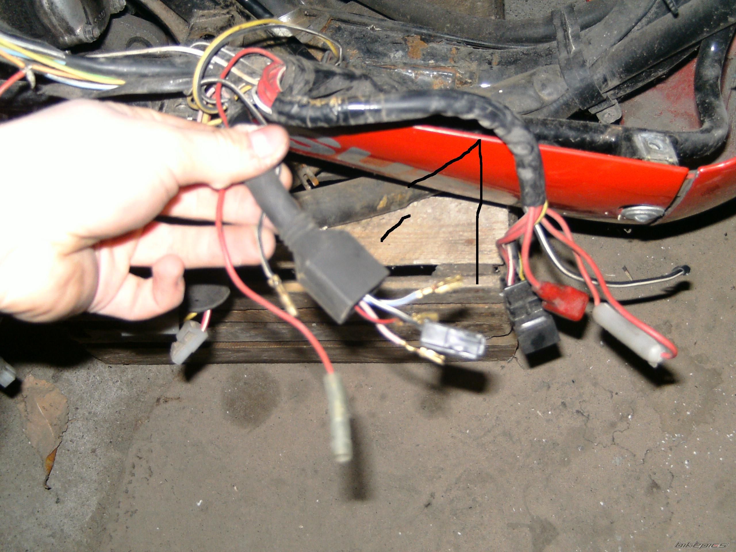 Photo 1547764