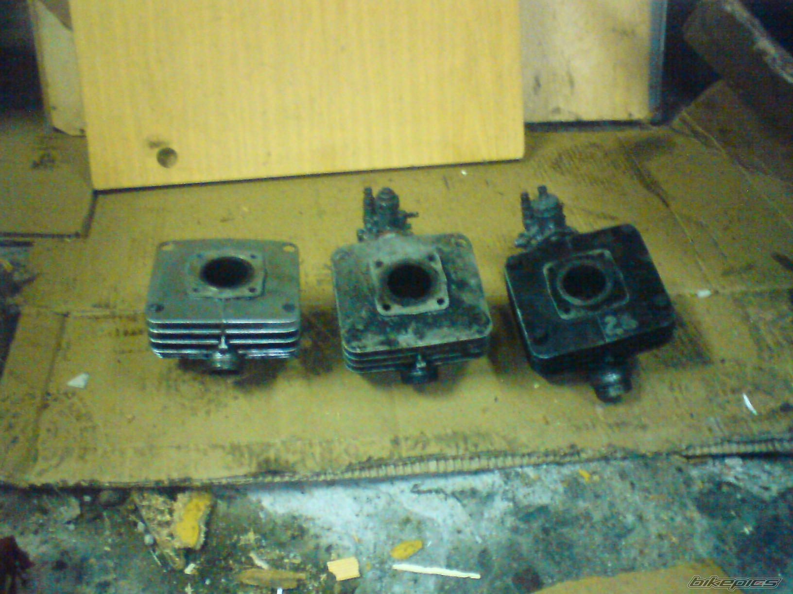 Photo 1547865