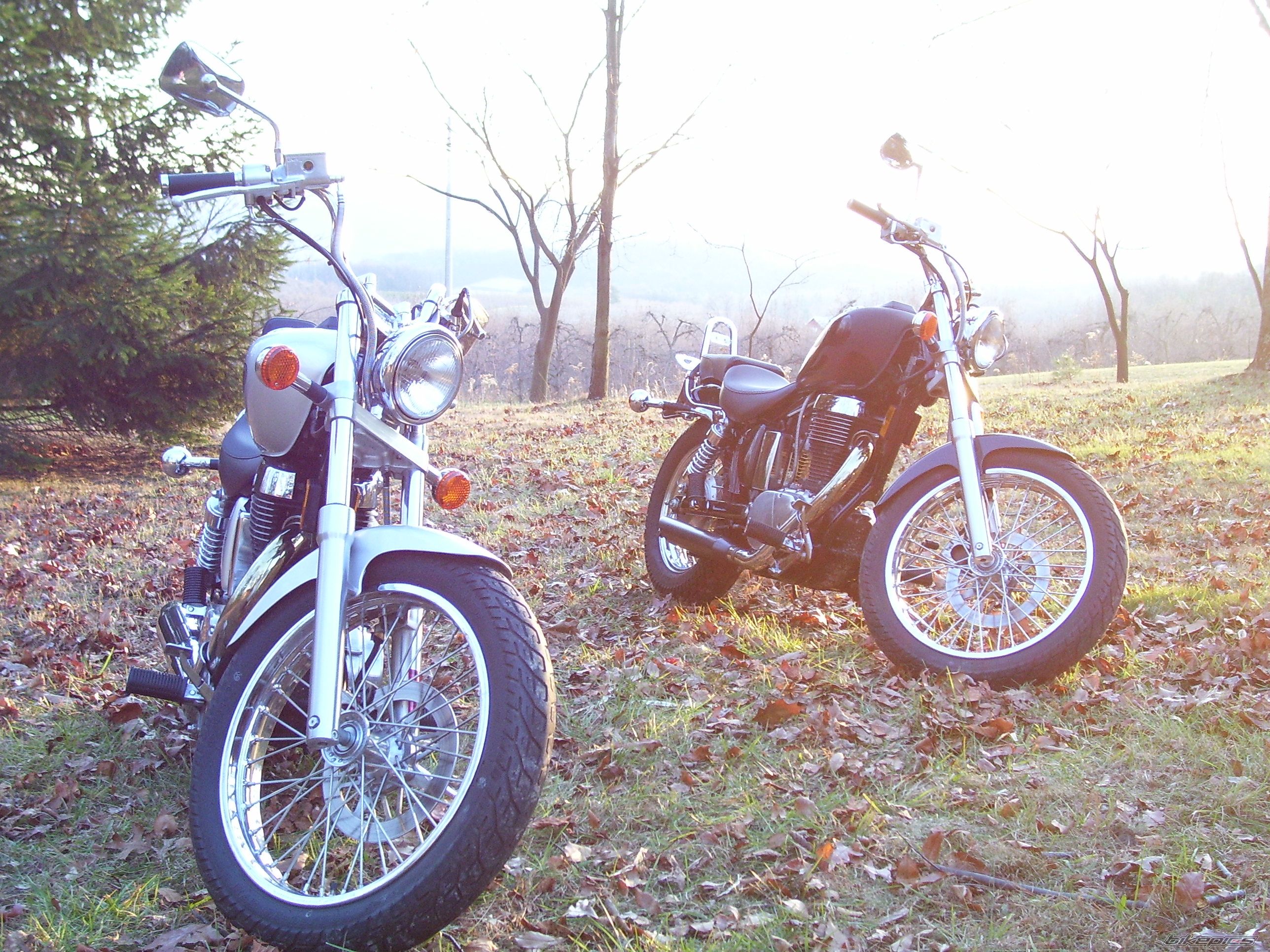 Photo 1547875