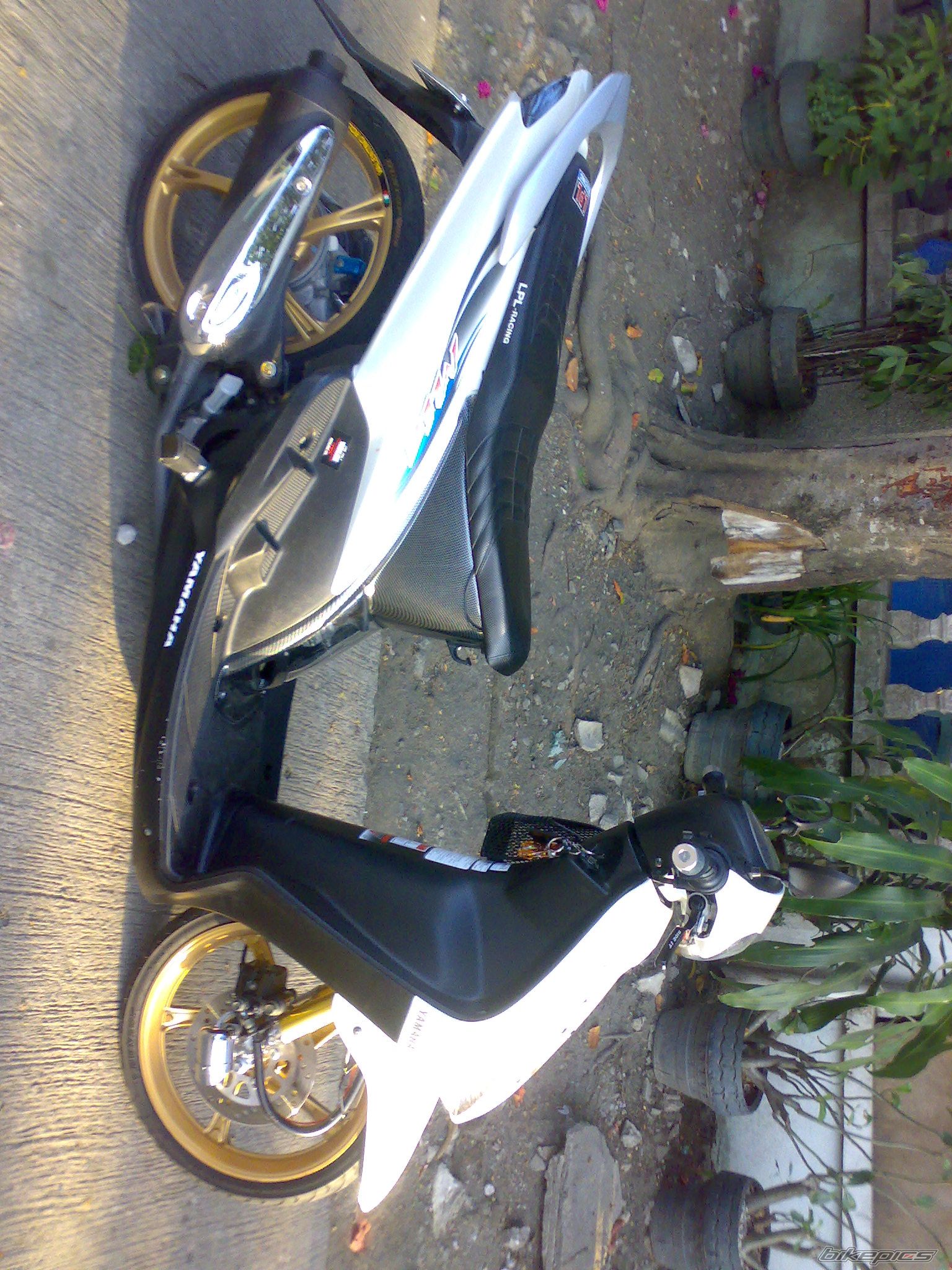 Photo 1547990