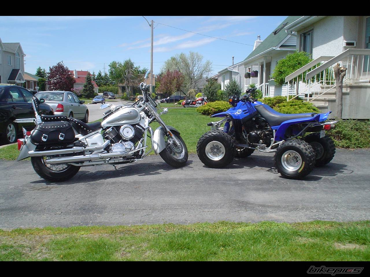 Photo 154805