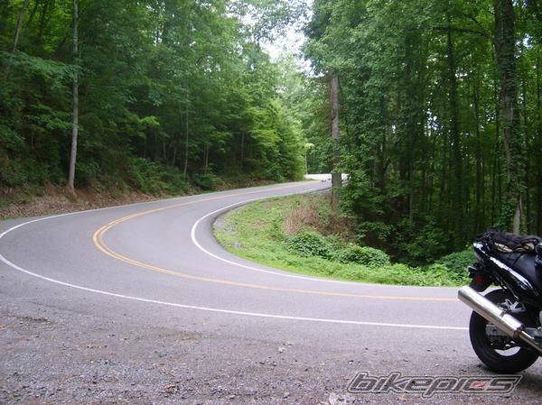 Photo 1548211