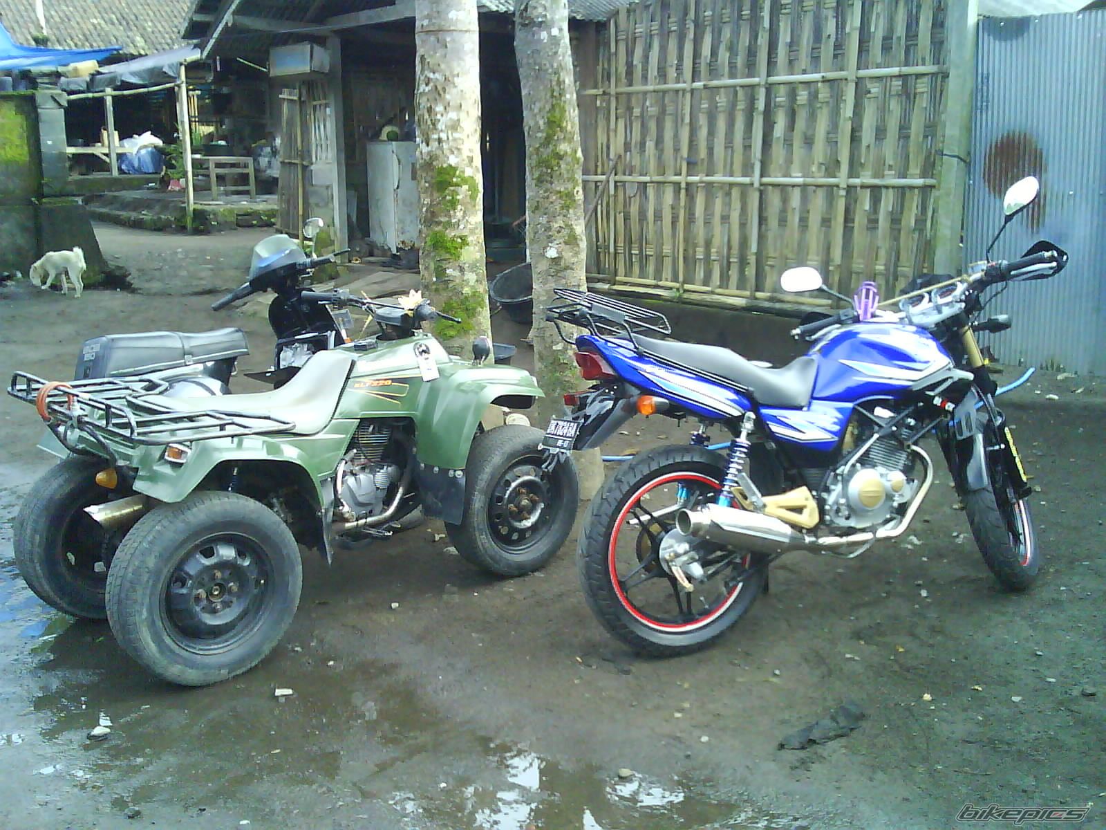 Photo 1548218