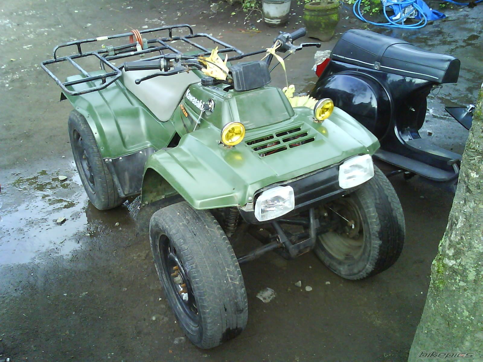 Photo 1548219