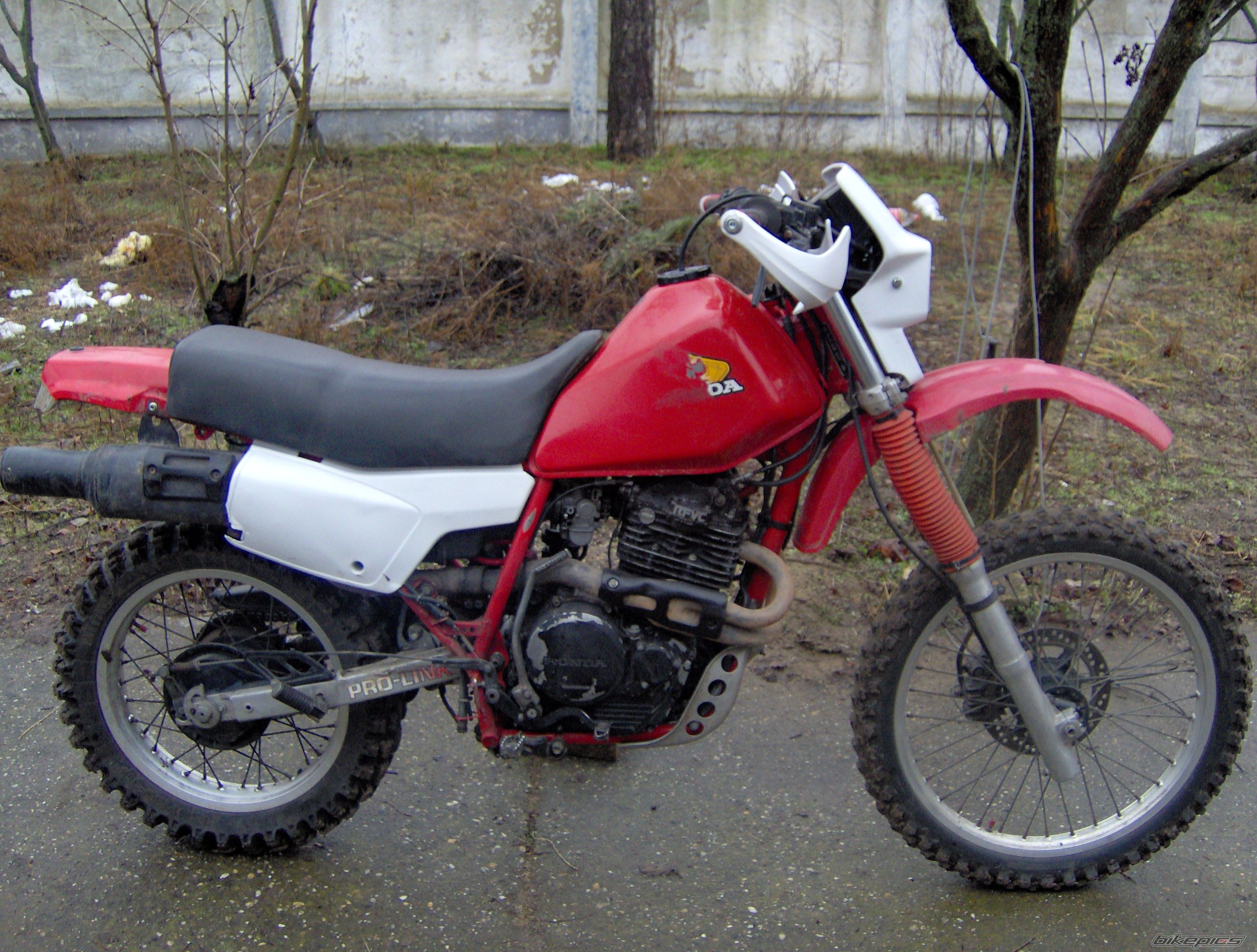 Photo 1548319