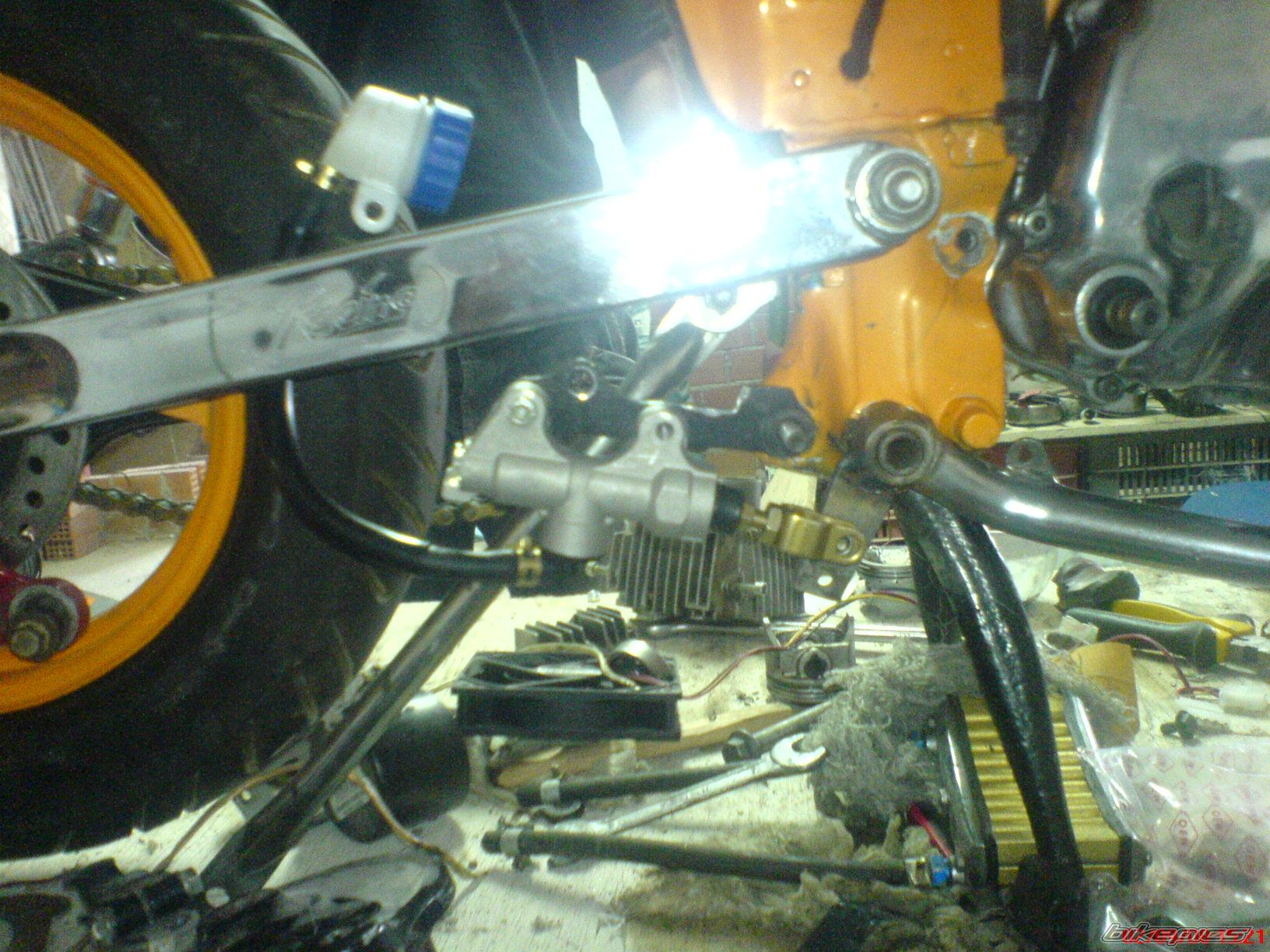 Photo 1548392