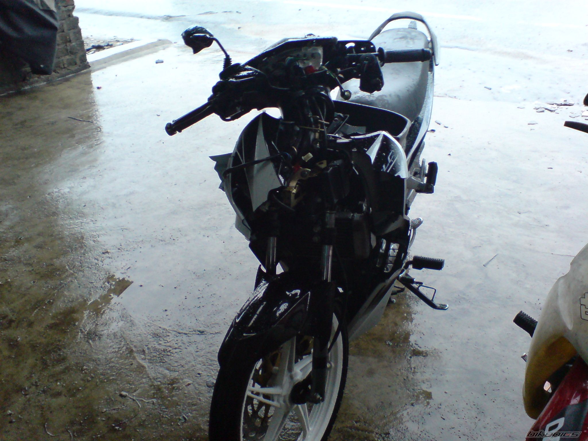 Photo 1548454