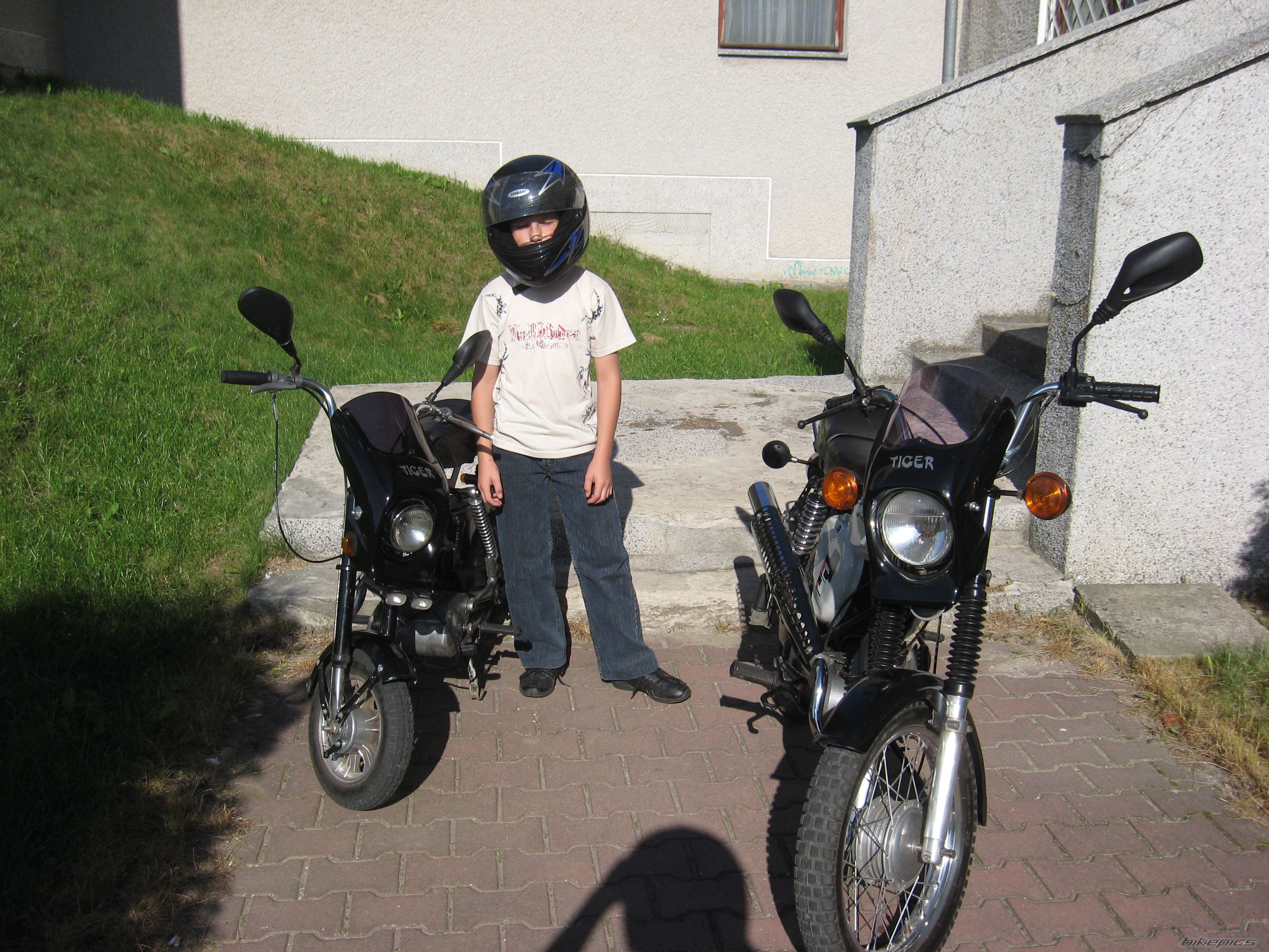 Photo 1548485