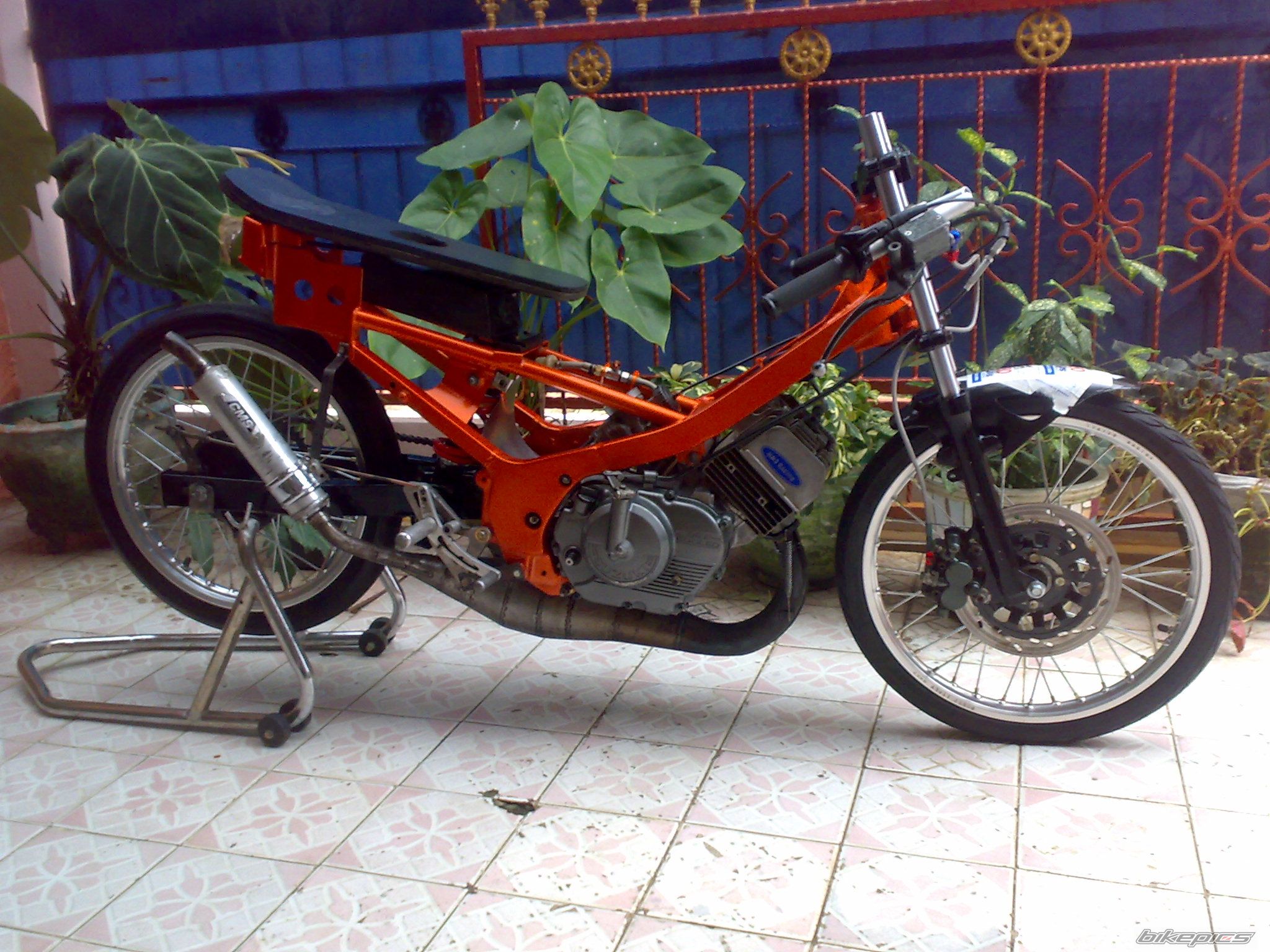 Photo 1548502