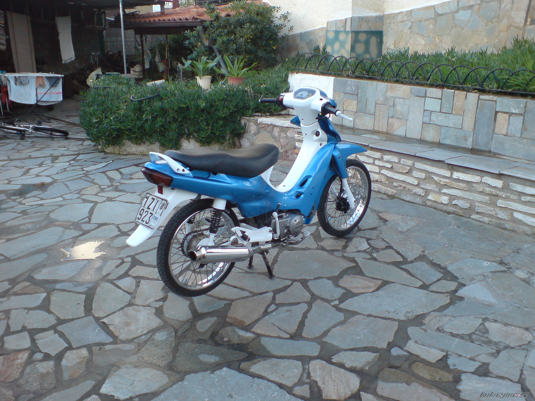 Photo 1548505