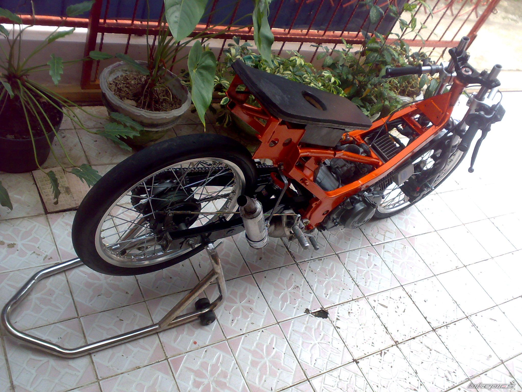 Photo 1548516