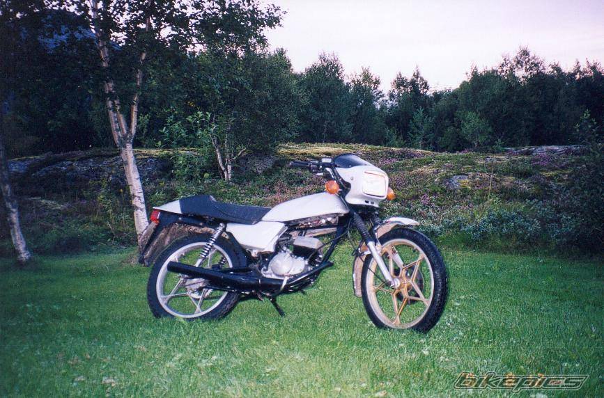 Bike Photo 15486