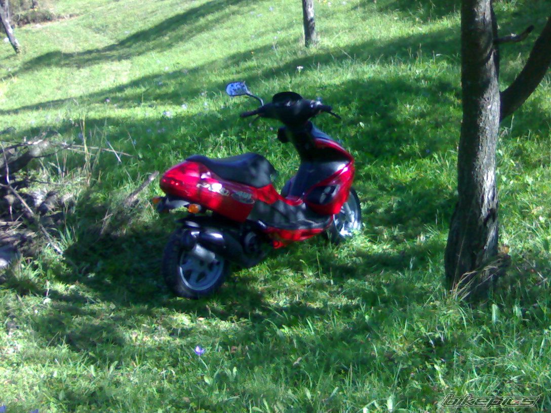 Photo 1548631