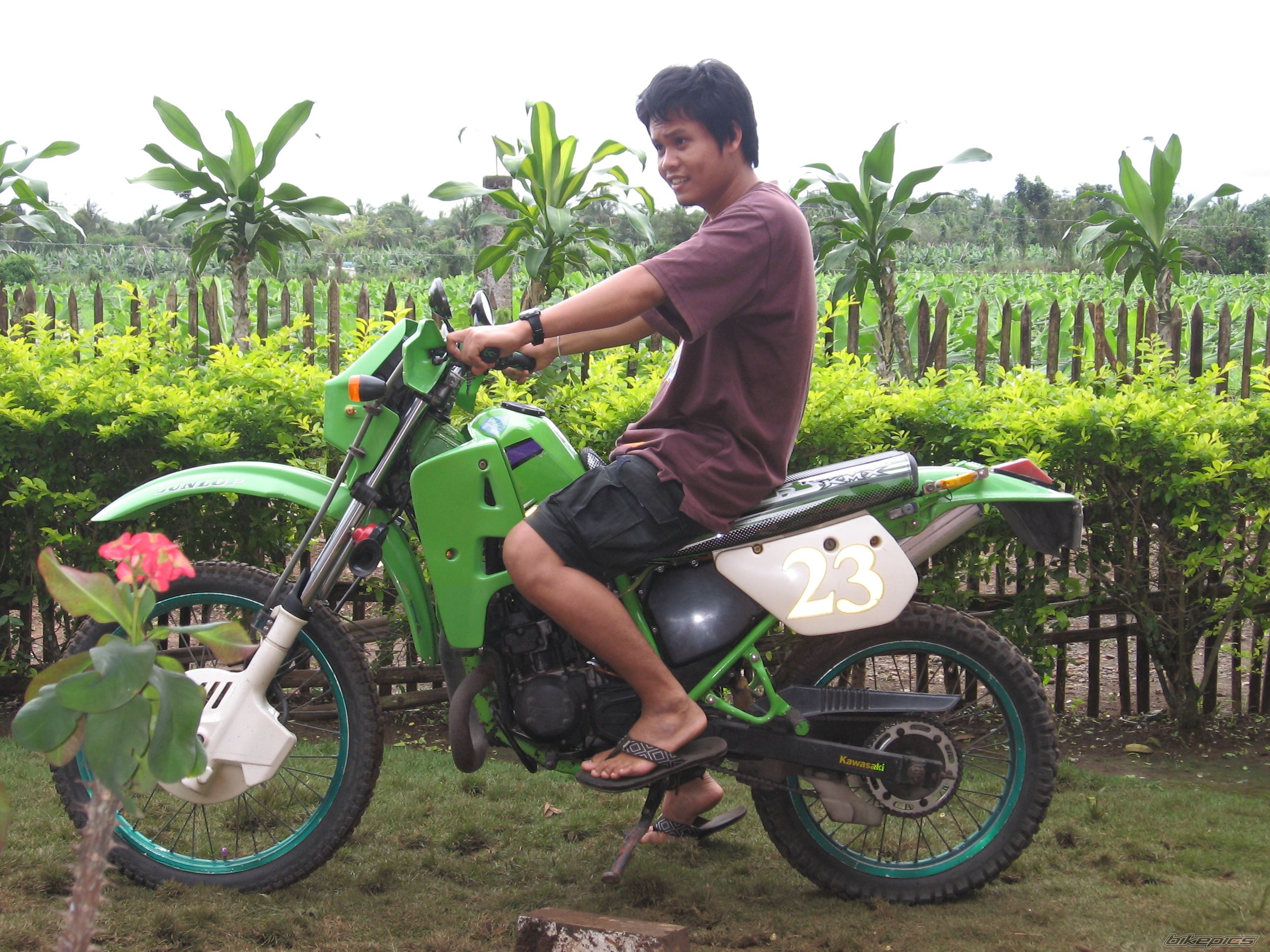 Photo 1548673