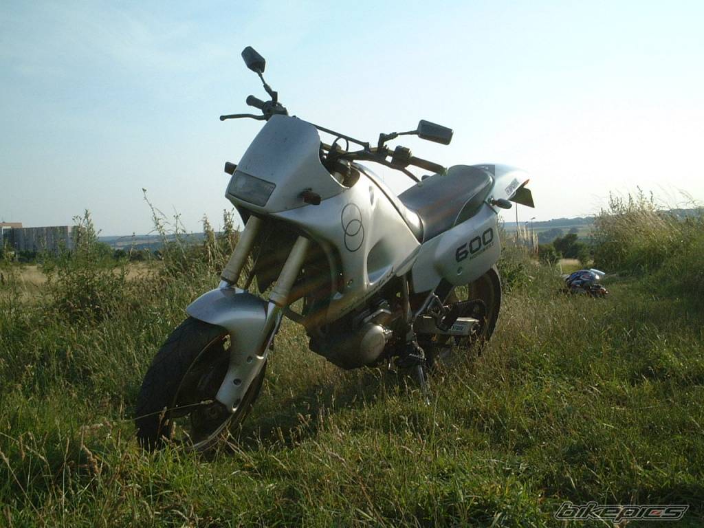 Photo 154874