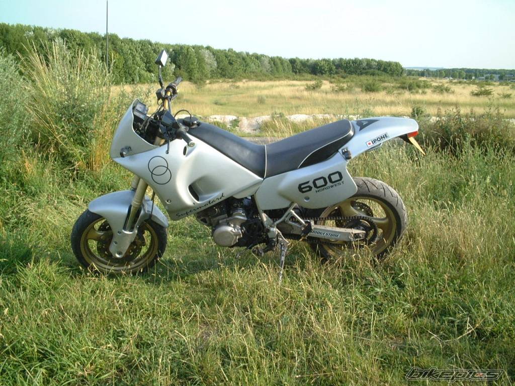 Photo 154875