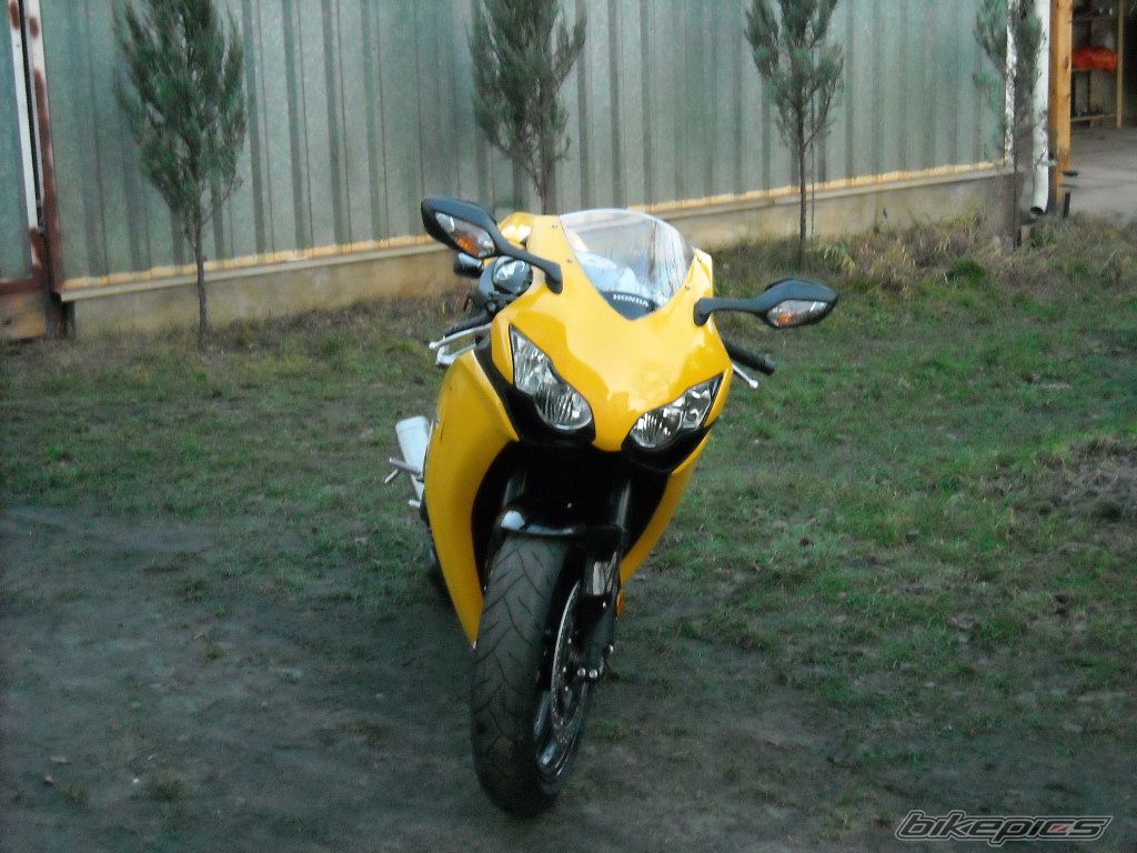 Photo 1548818