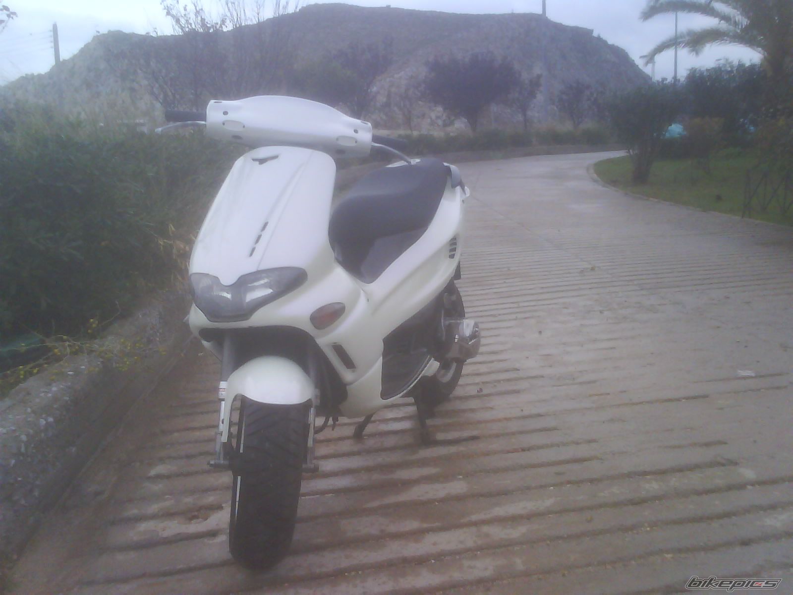 Photo 1548966