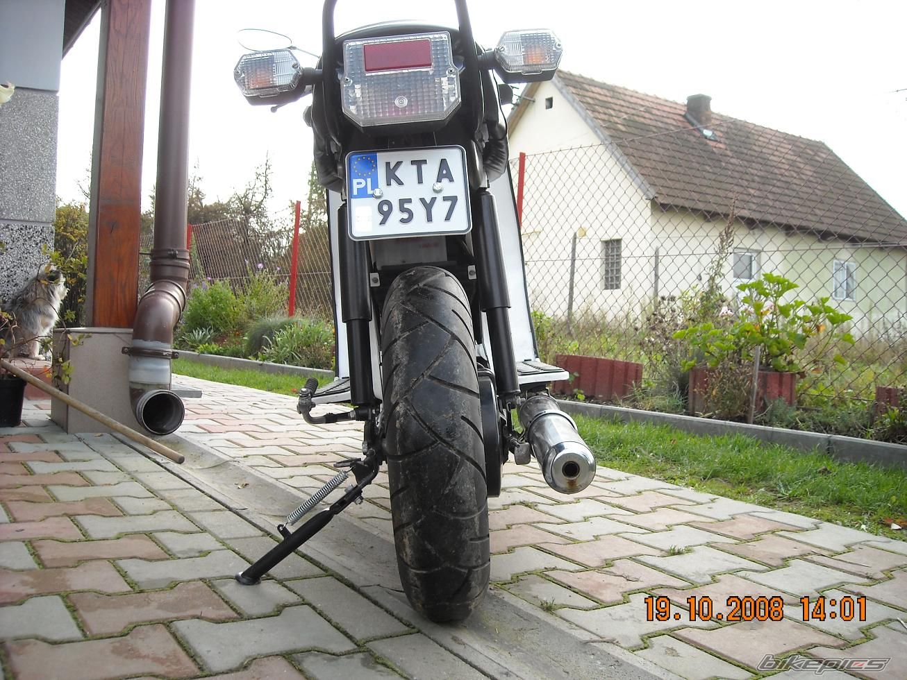 Photo 1549098