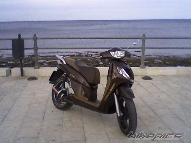 Photo 1549219