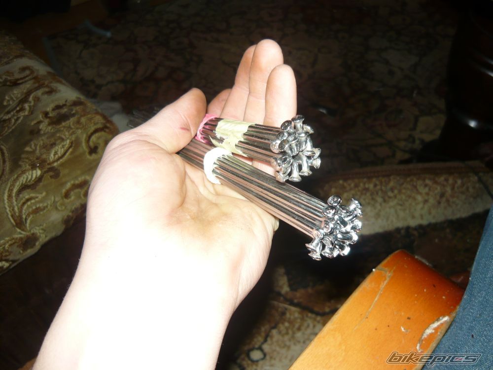 Photo 1549238
