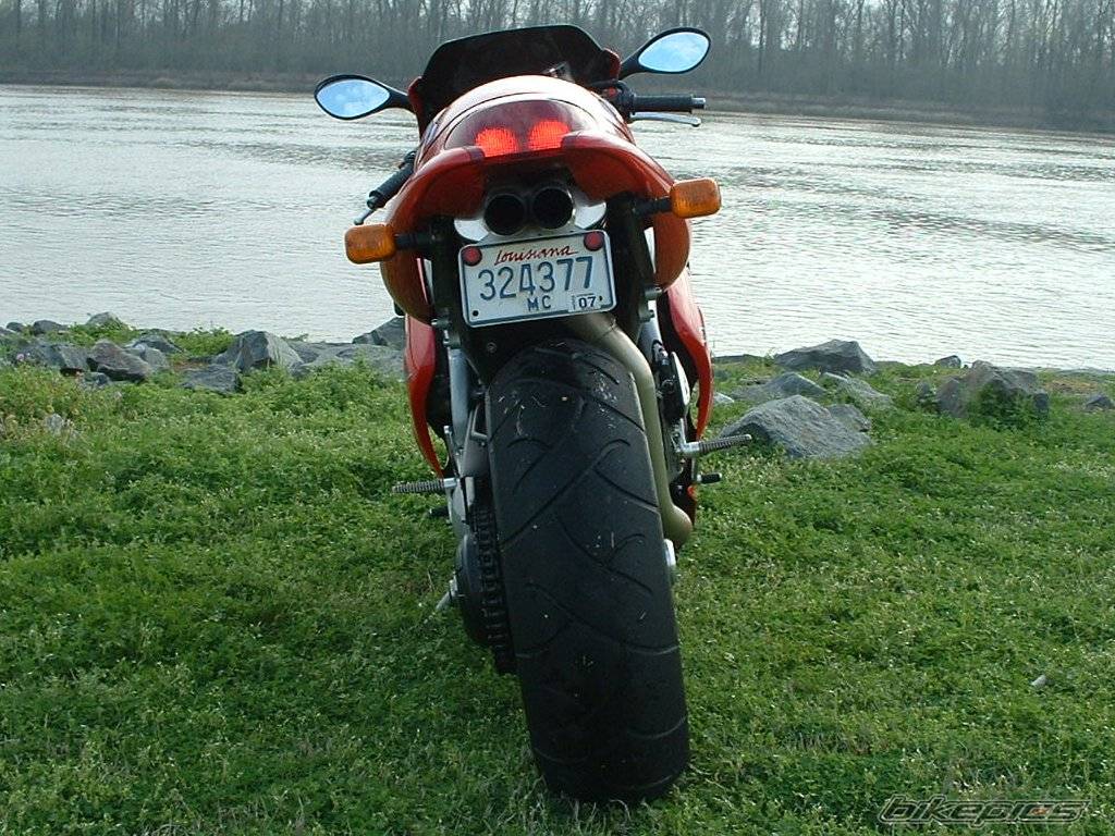 Photo 154931