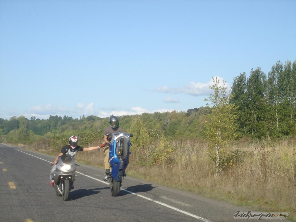 Photo 1549439