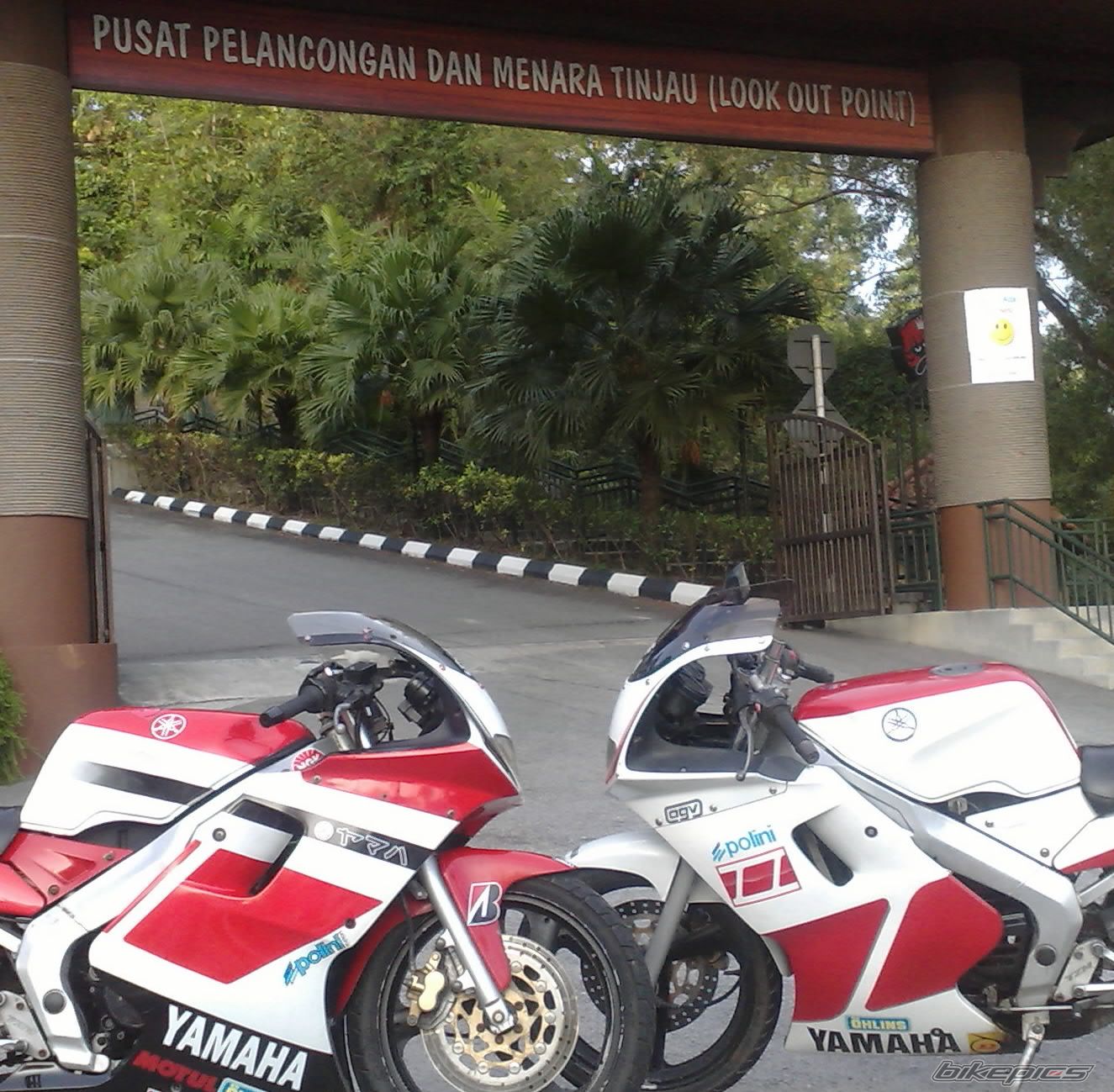 Bike Photo 1549495