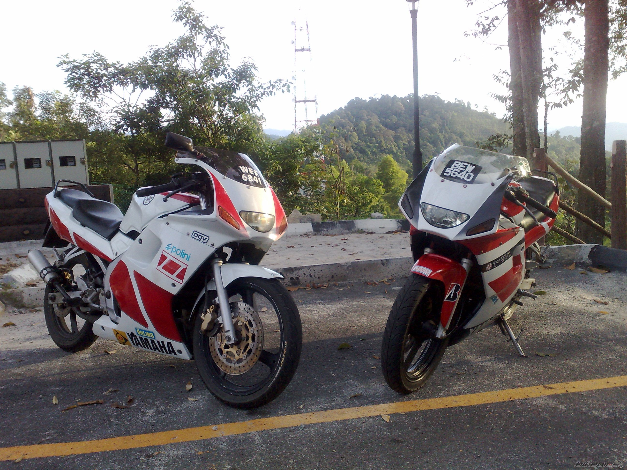 Photo 1549506