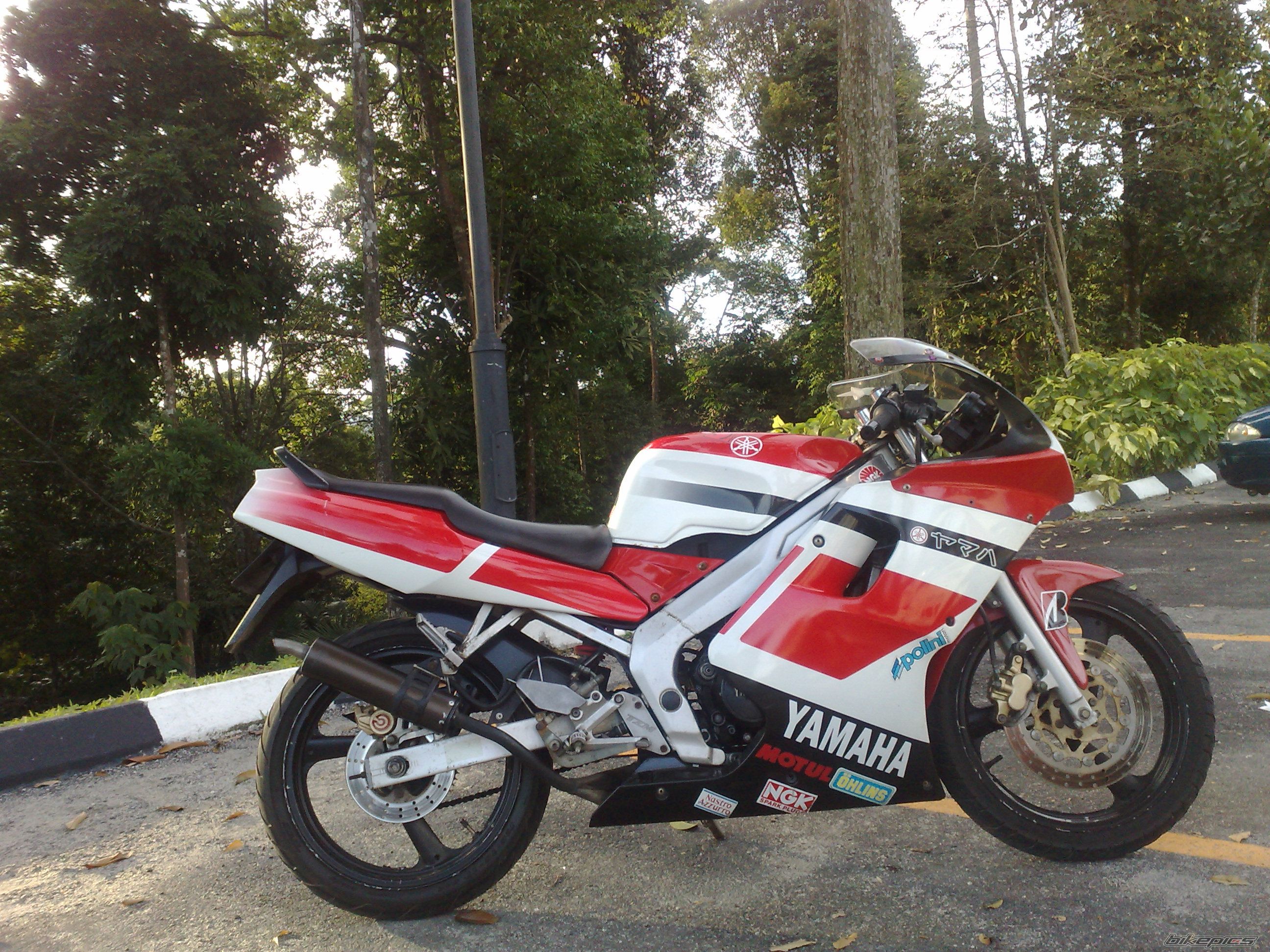 Bike Photo 1549510