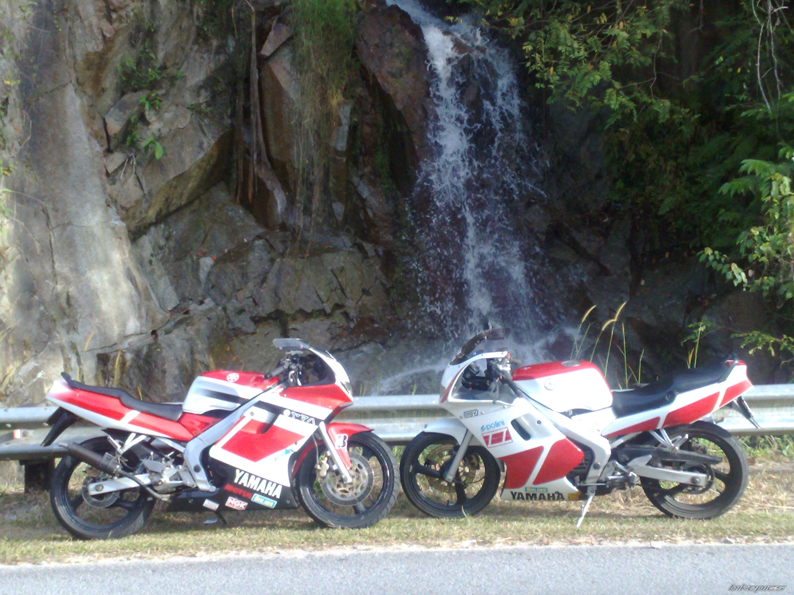 Bike Photo 1549519