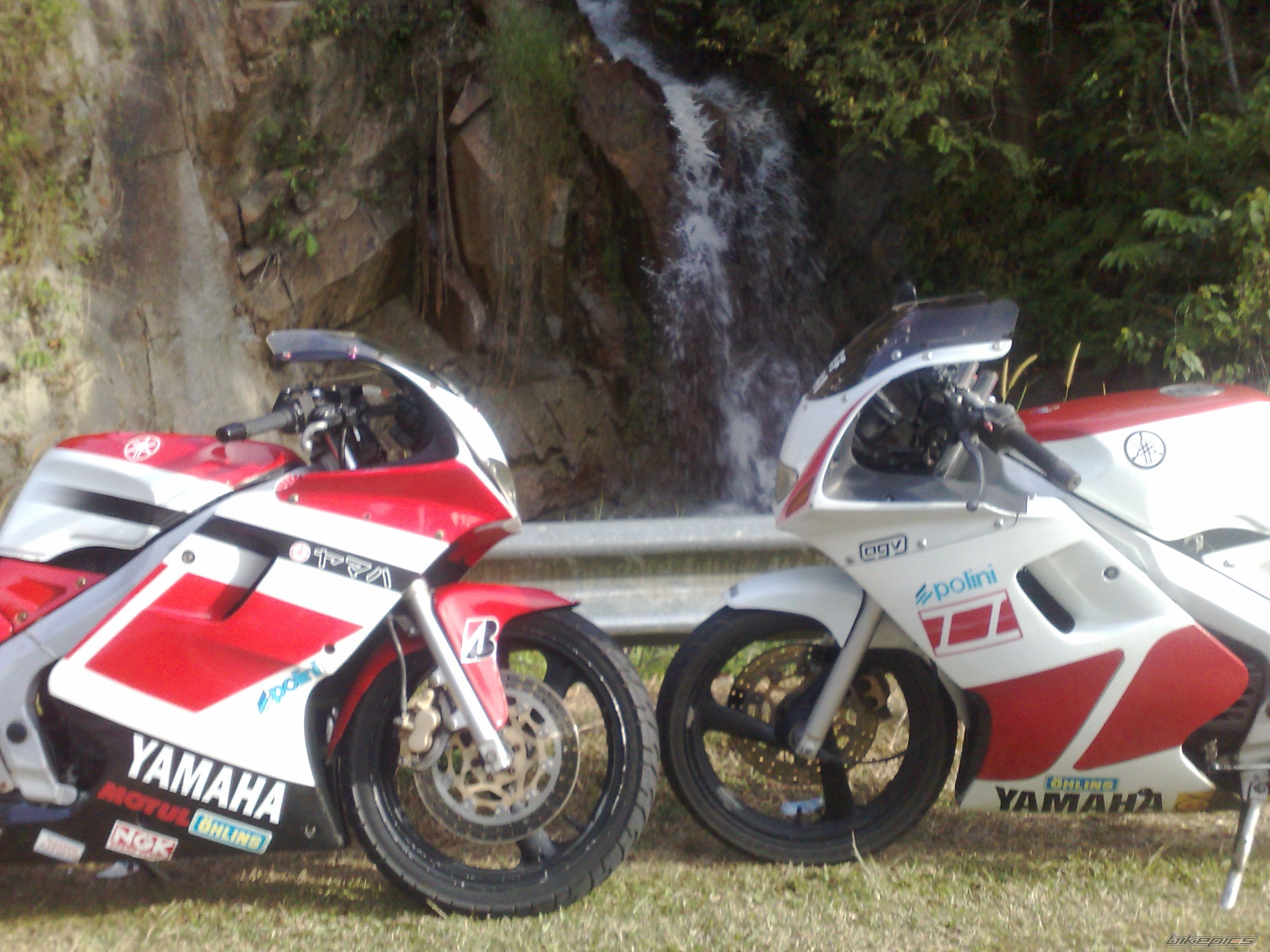 Bike Photo 1549528