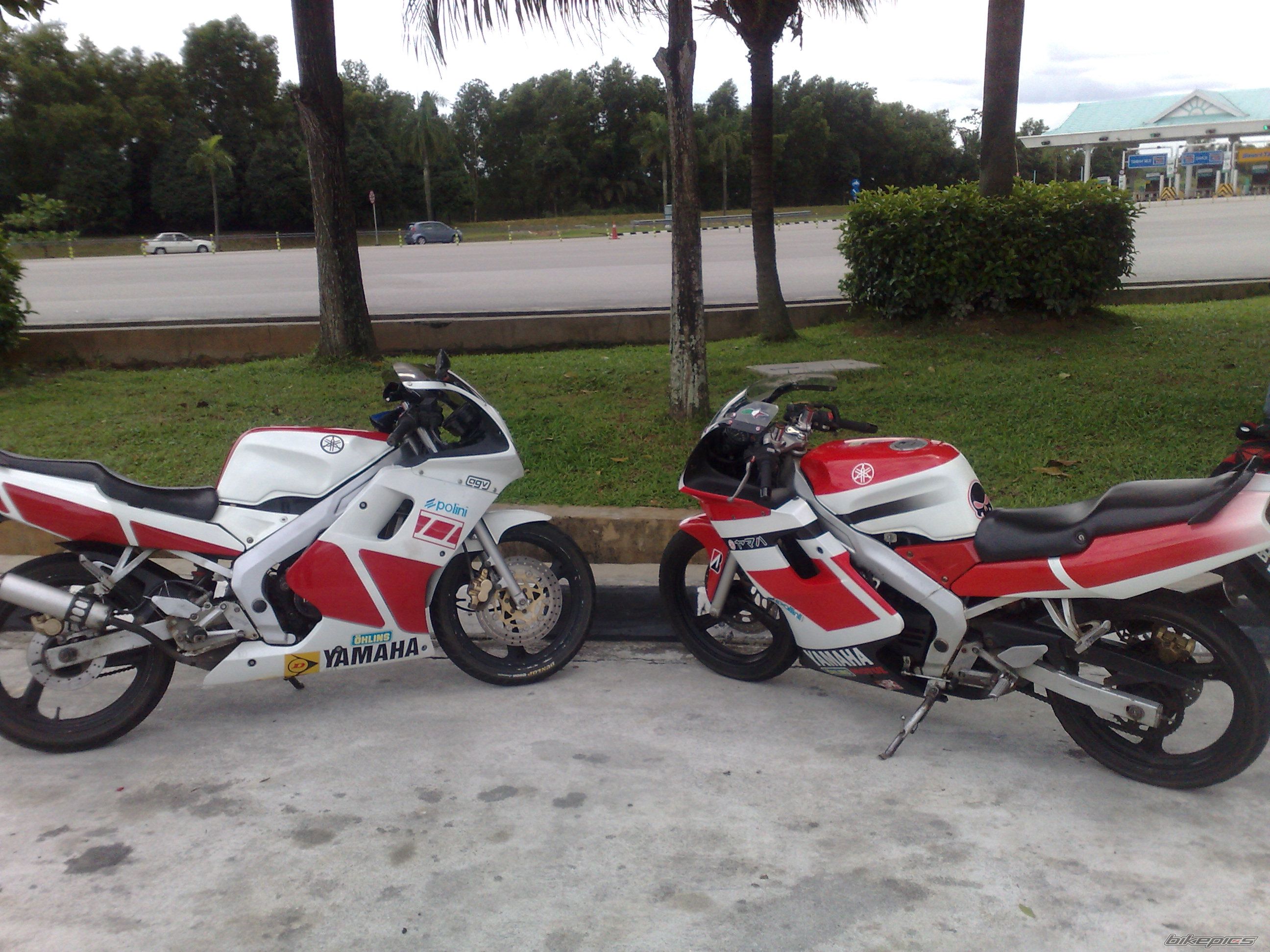 Photo 1549532