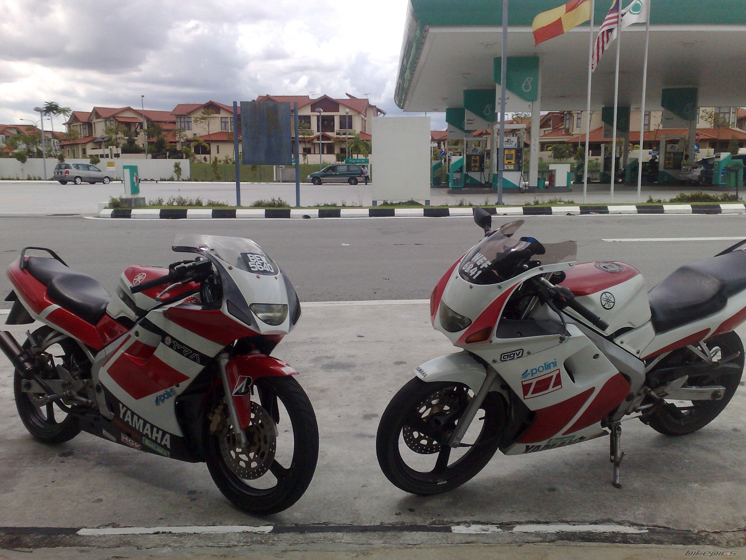 Photo 1549534