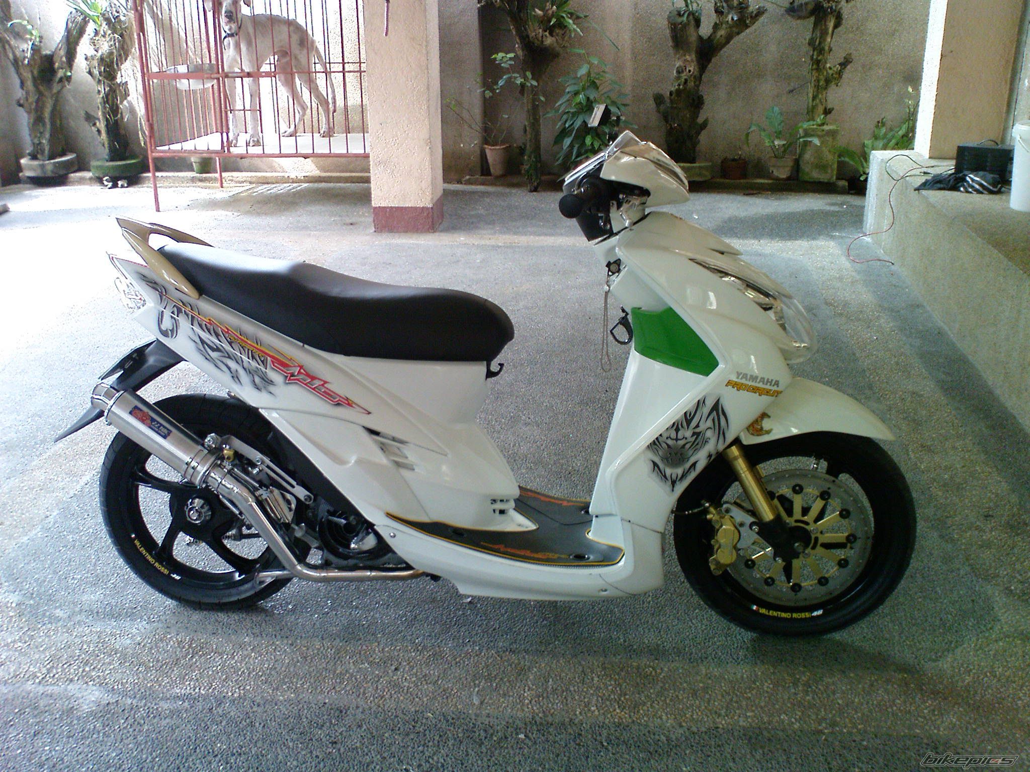 Photo 1549697