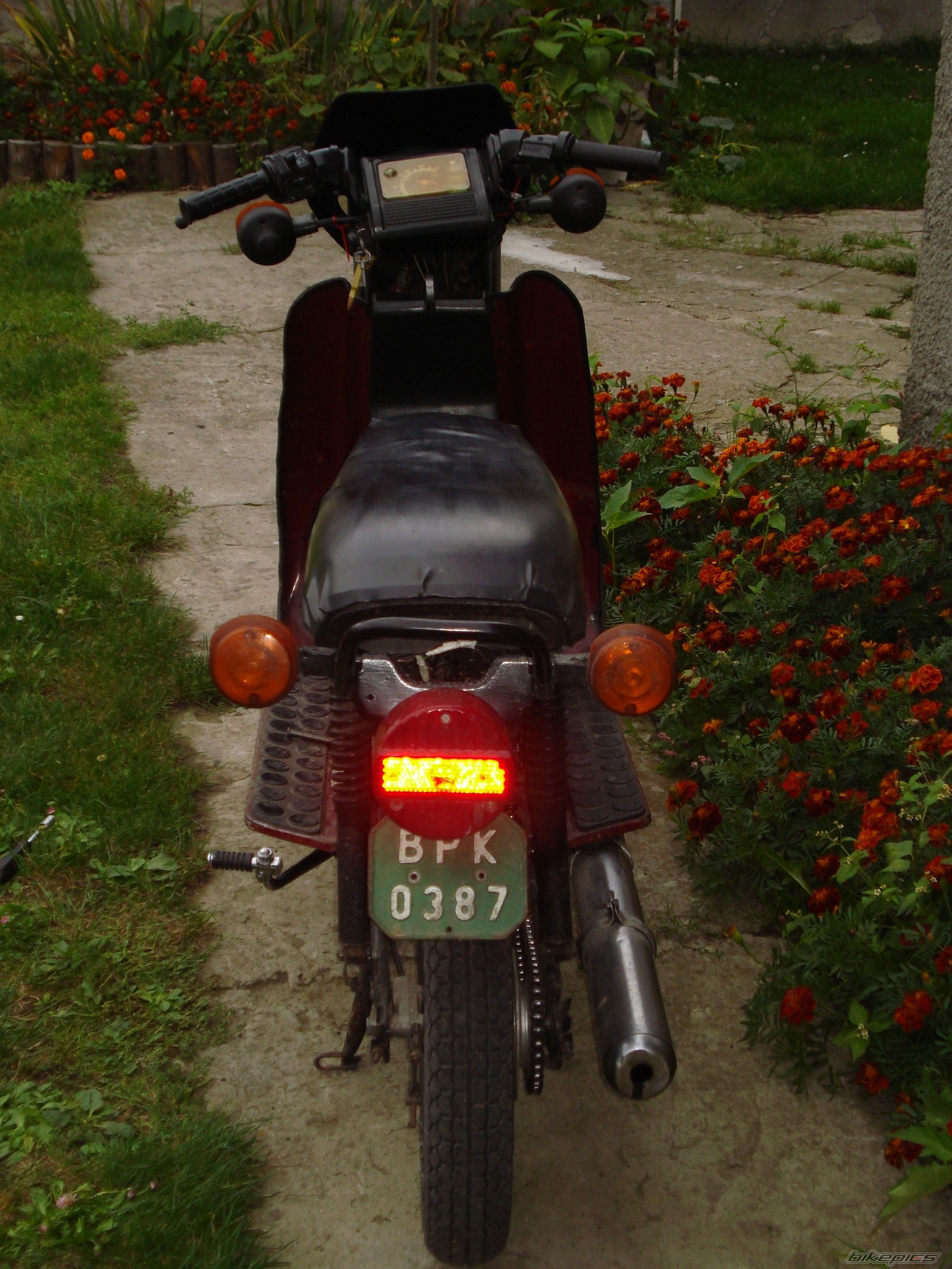 Photo 1549739