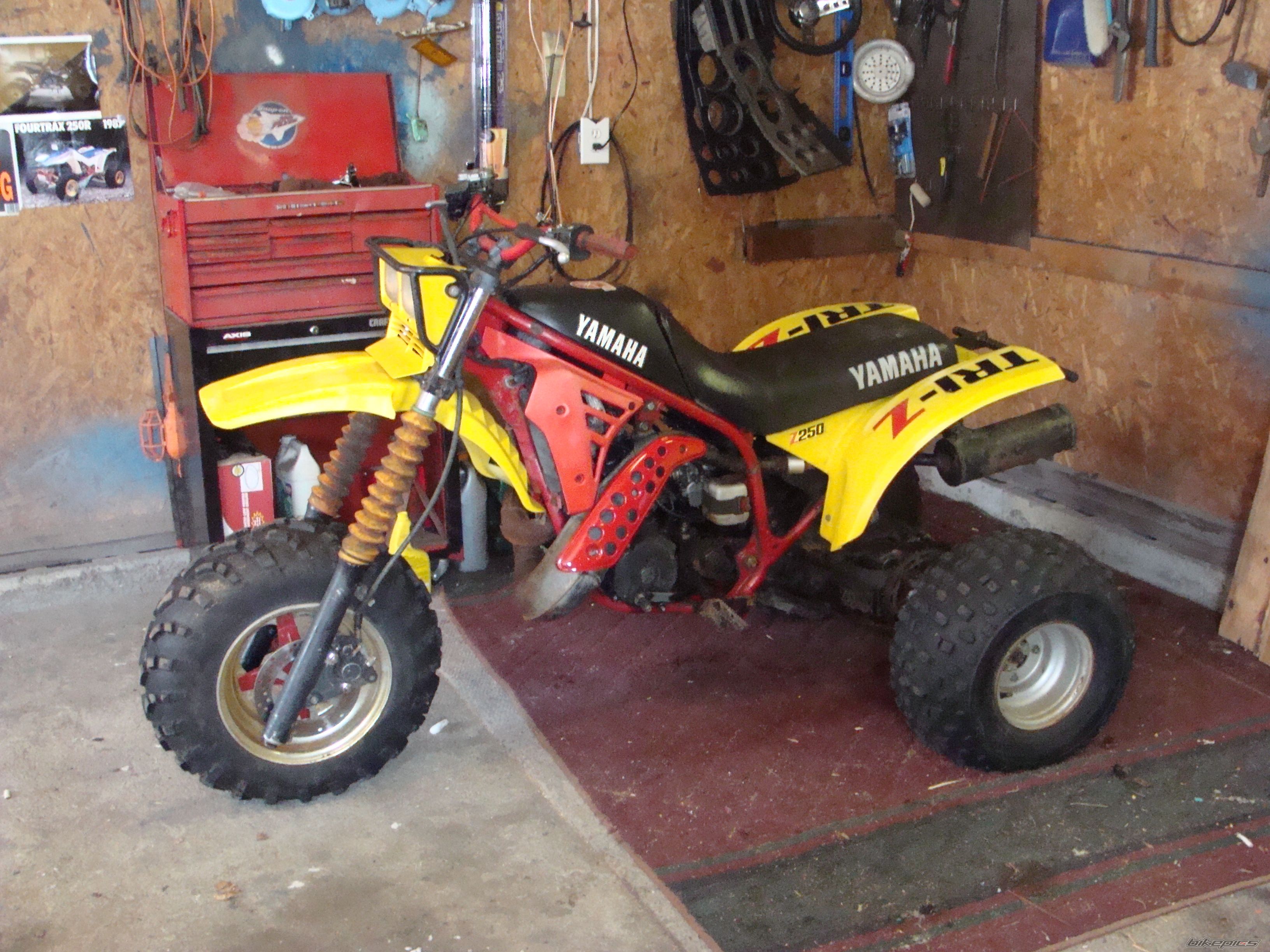 Photo 1549783
