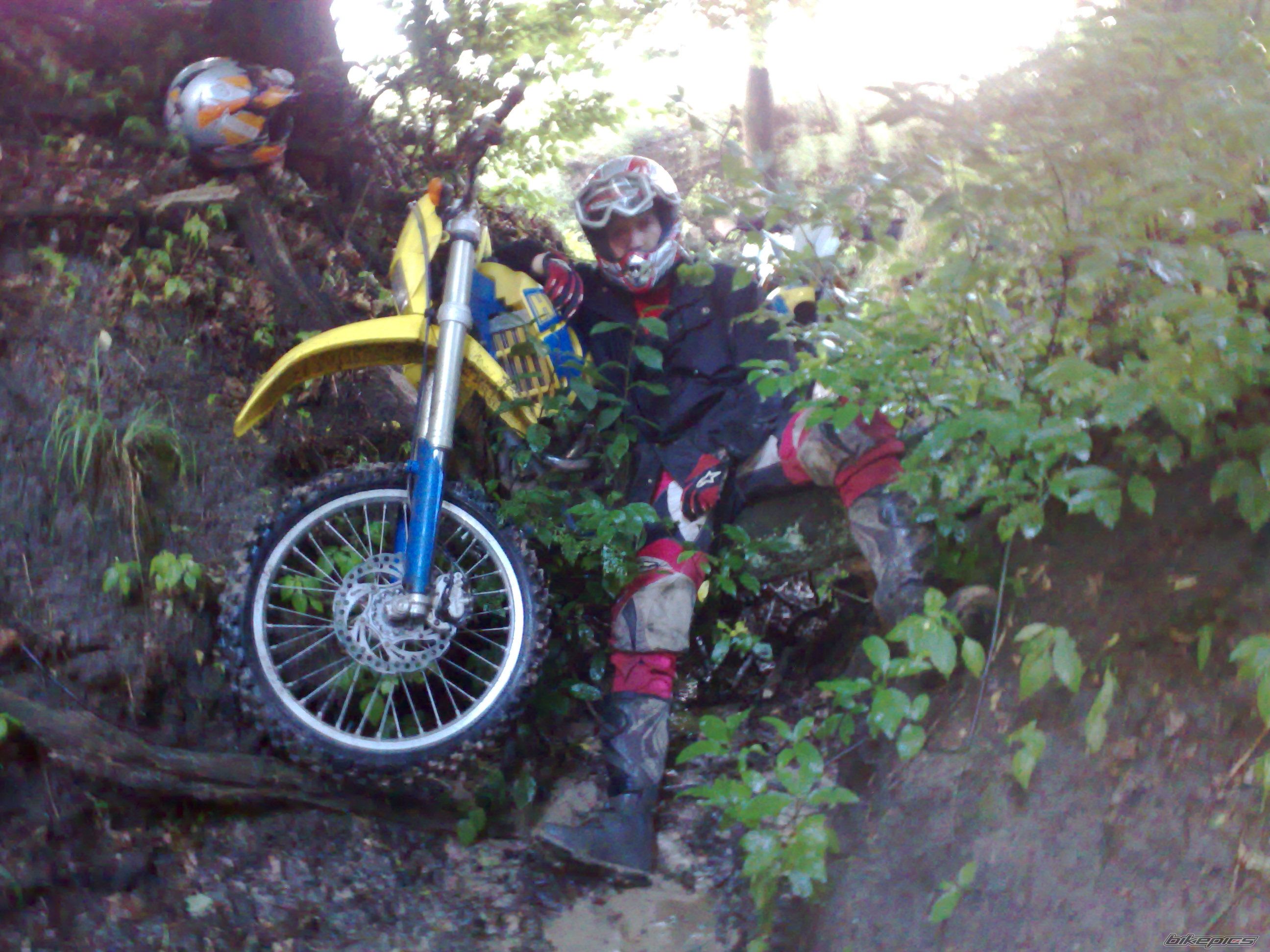 Photo 1549819