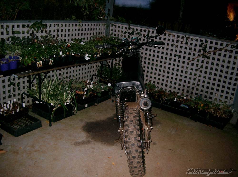 Photo 154983