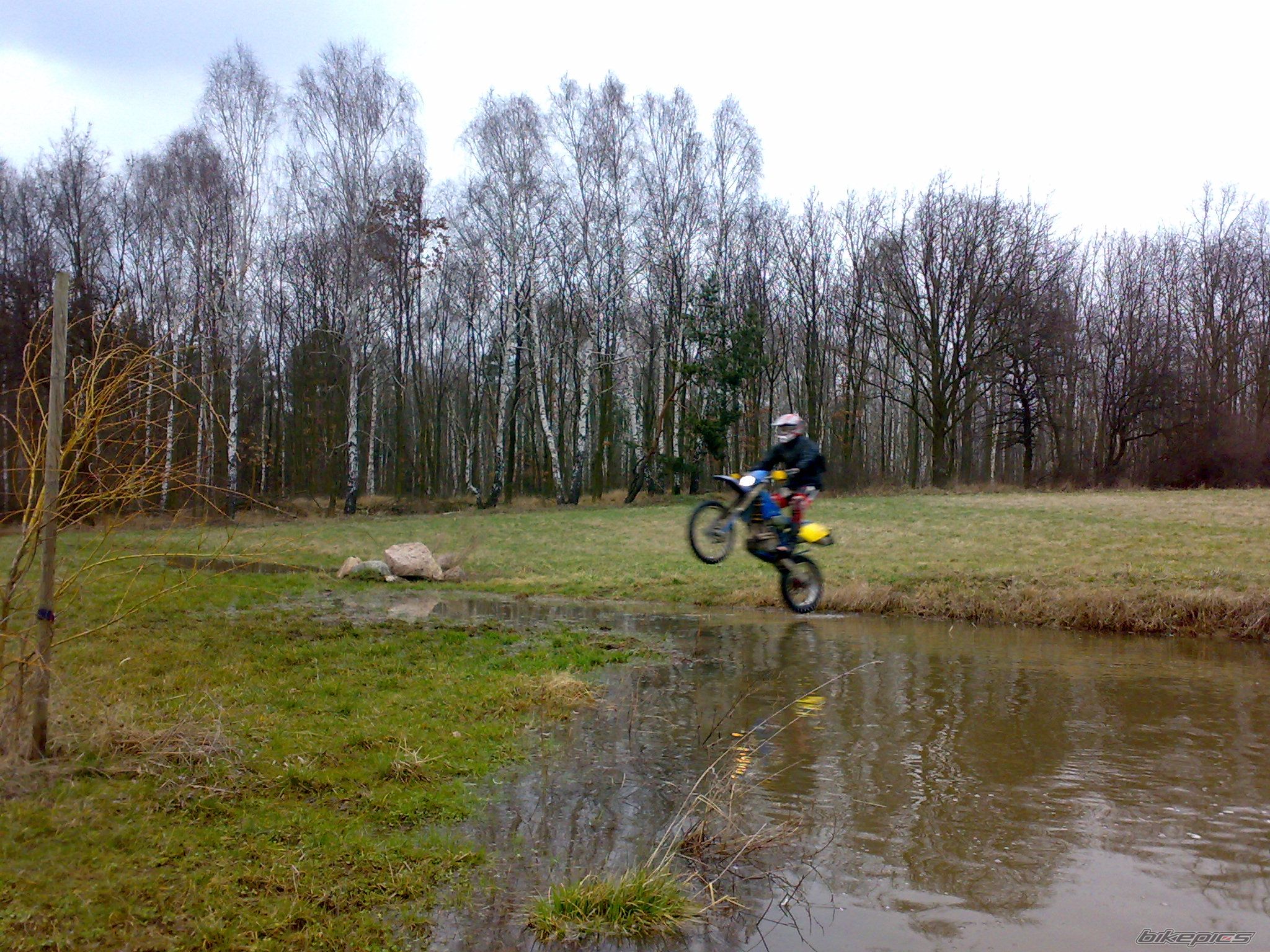 Photo 1549846