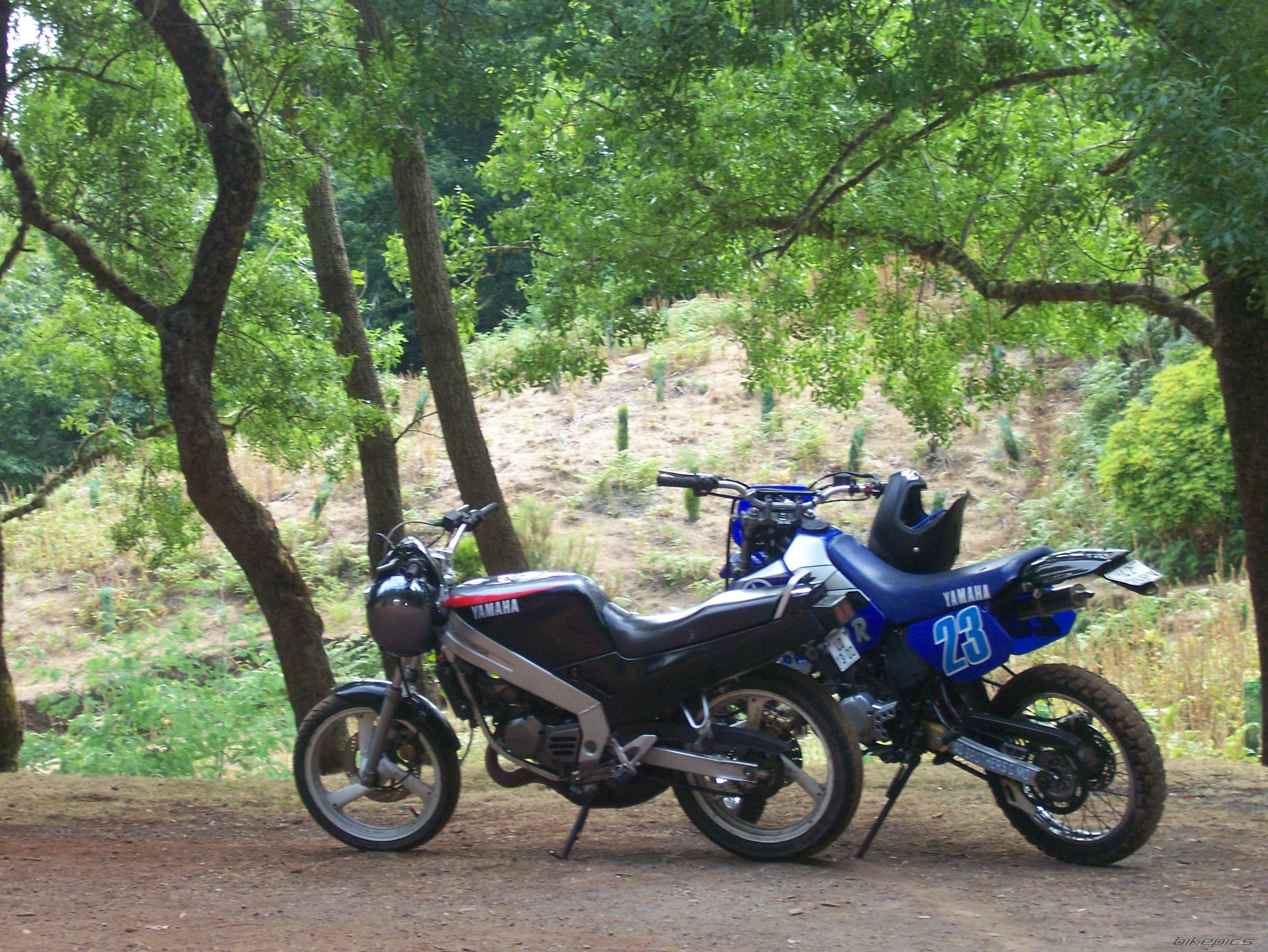 Bike Photo 1549847