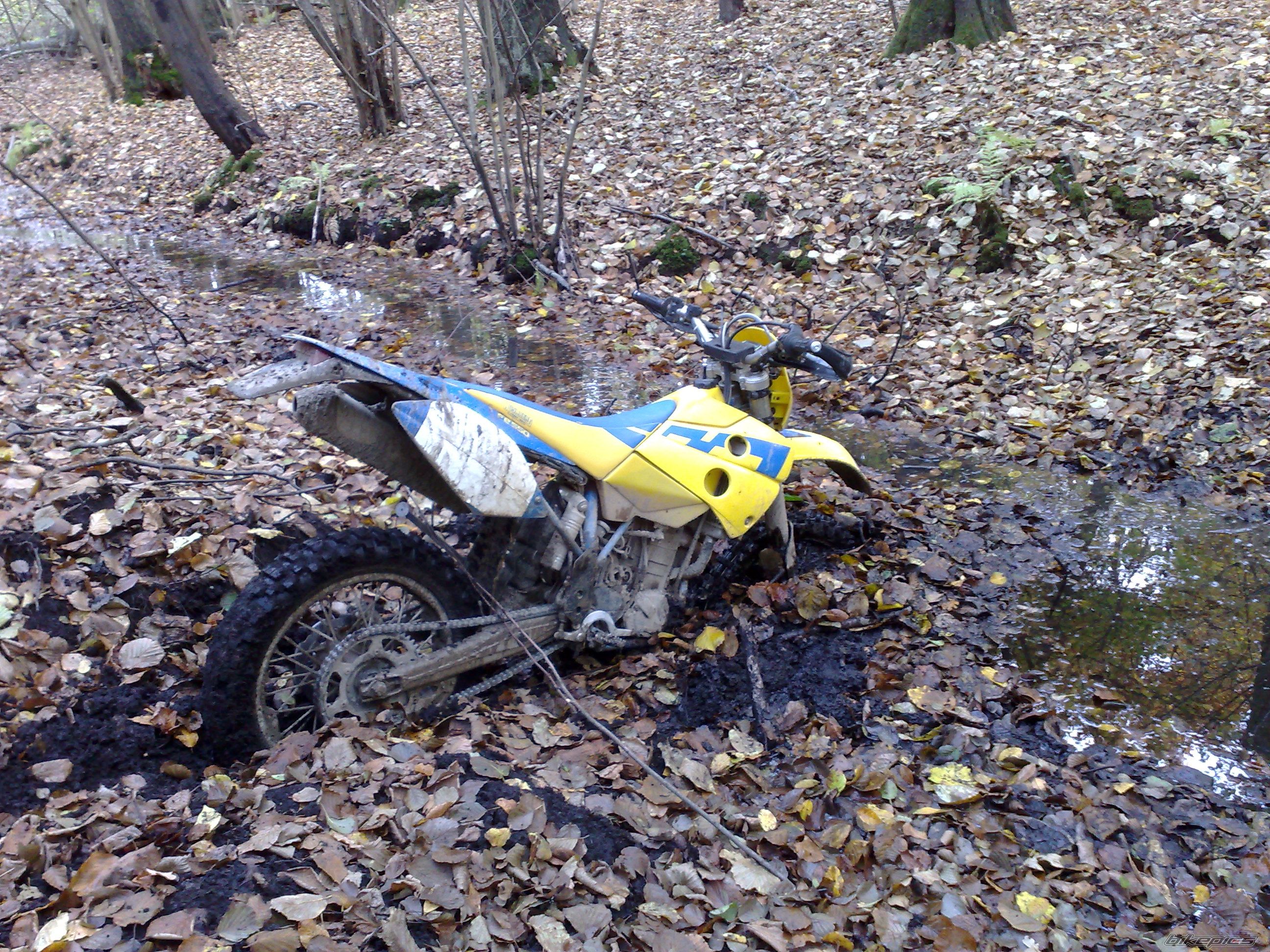 Photo 1549855