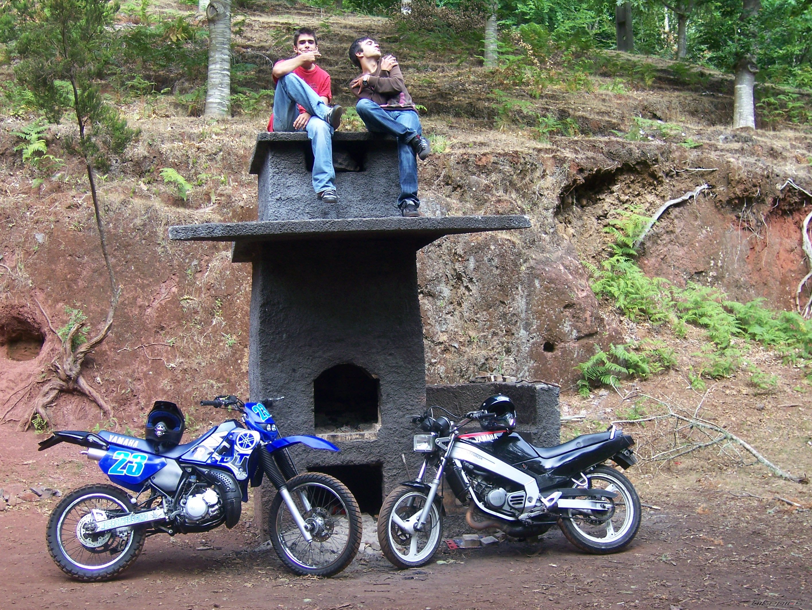 Bike Photo 1549862